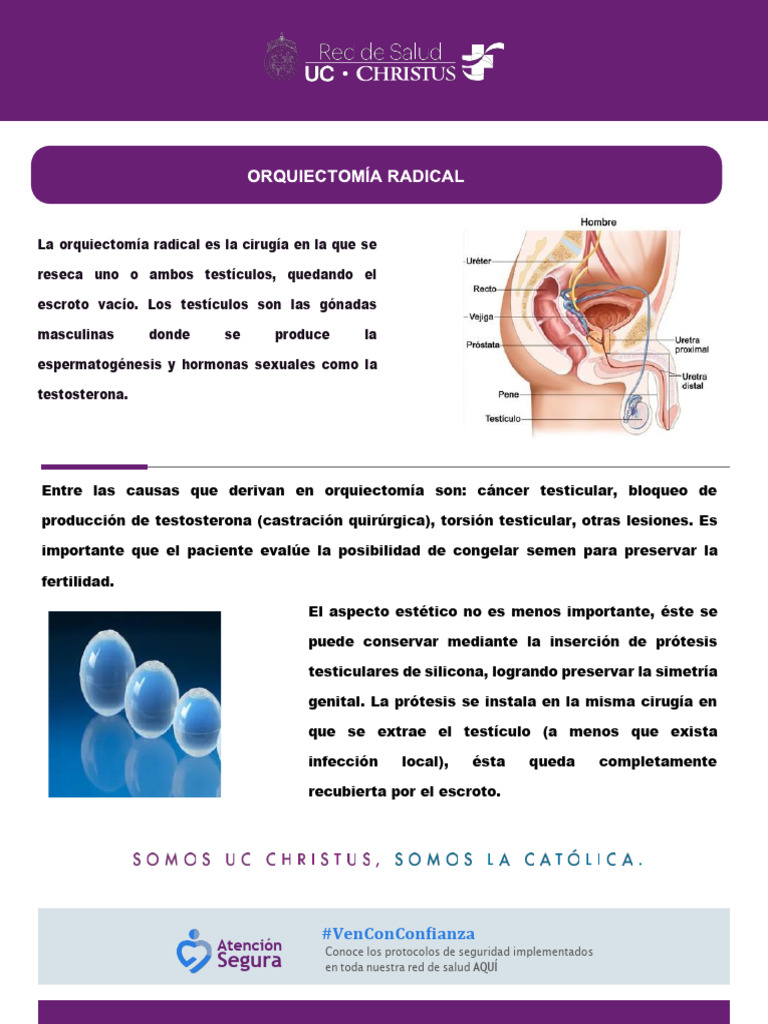 Orquiectomía Radical: Guía Pre y Postoperatoria | PDF | Anestesia ...