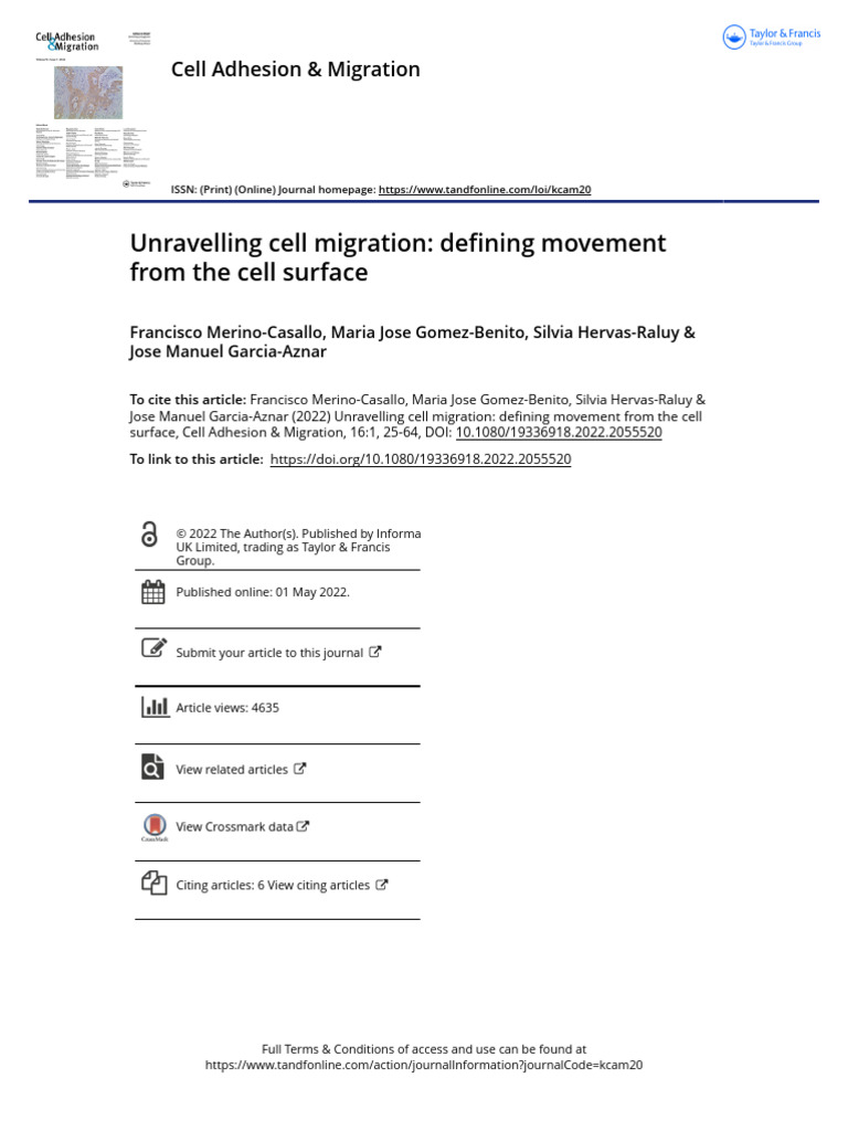 Cell Migration Beyond Movement The Unexpected Benefits - nfk84ud