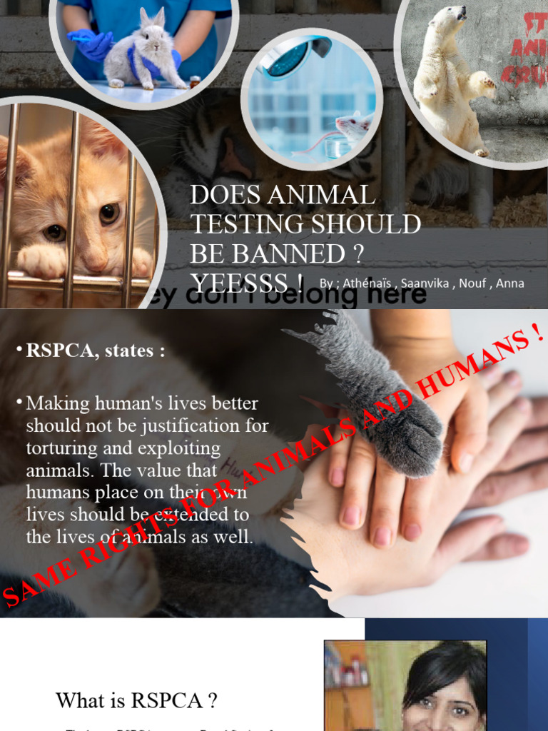 Ban Animal Testing: Ethical Perspectives | PDF | Bioethics | Animal Welfare