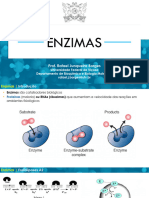 Bqi 100 - Aula 07 - Enzimas