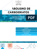 Bqi 100 - Aula 08 - Catabolismo de Carboidratos