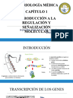 Capítulo 1 - Introducción A La Regulación y Señalización Molecular