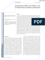 Scand J Immunol - 2013 - Xue - Epigenetic Synergies Between Biotin and Folate in The Regulation of Pro Inflammatory