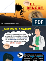 El Dengue