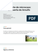 Reporte de Microcaso - La Huerta de Arnulfo