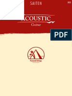 Pyramid Acoustic Guitar