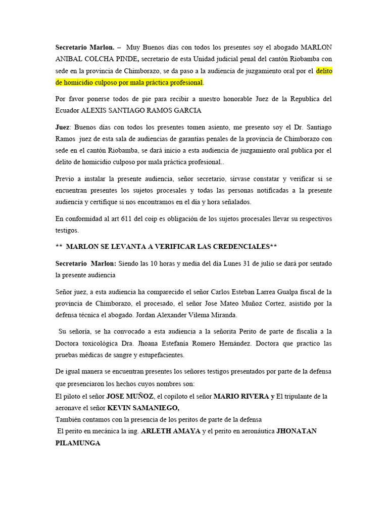 Audiencia Penal | PDF | Fiscal | Testigo experto