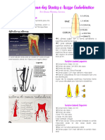 Anatomia Interna Dos Dentes e Acesso Endodôntico