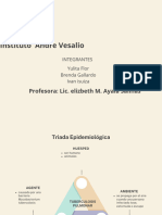 Triada Epidemiologica