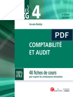 DSCG 4 Comptabilité Et Audit 48 Fiches de Cours