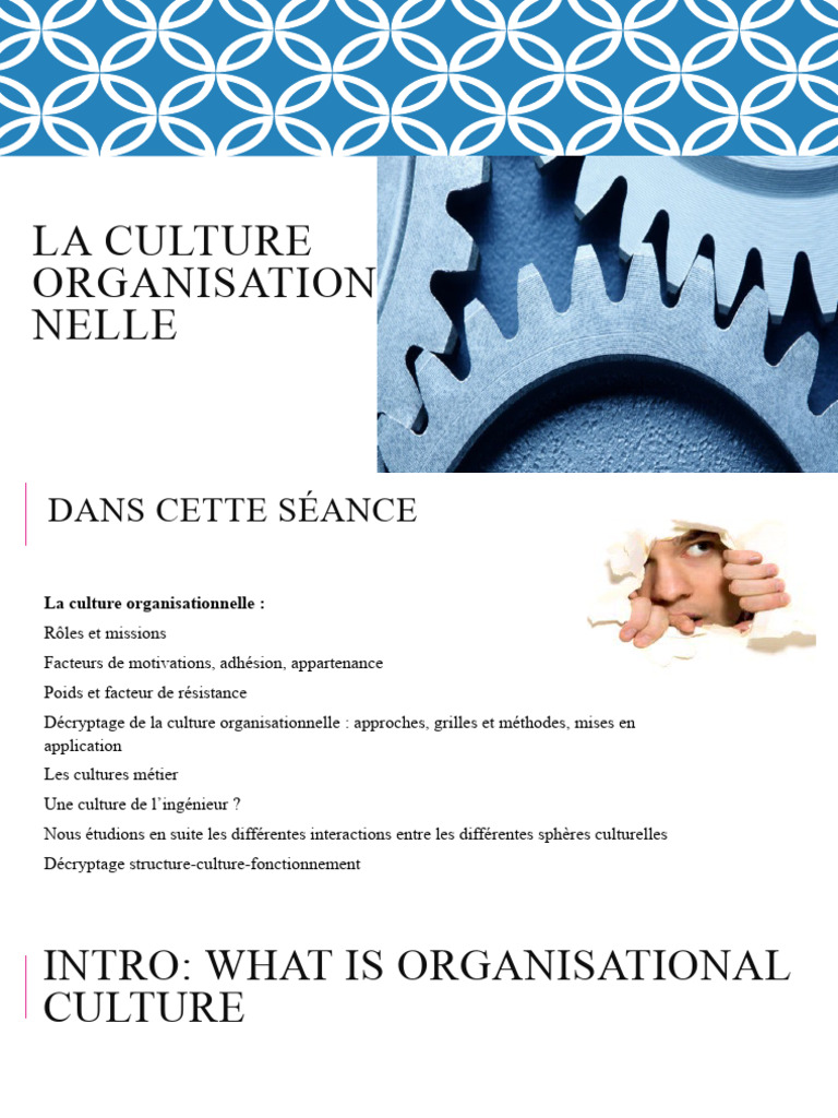 Décryptage de la culture organisationnelle | PDF | Direction | Motivation