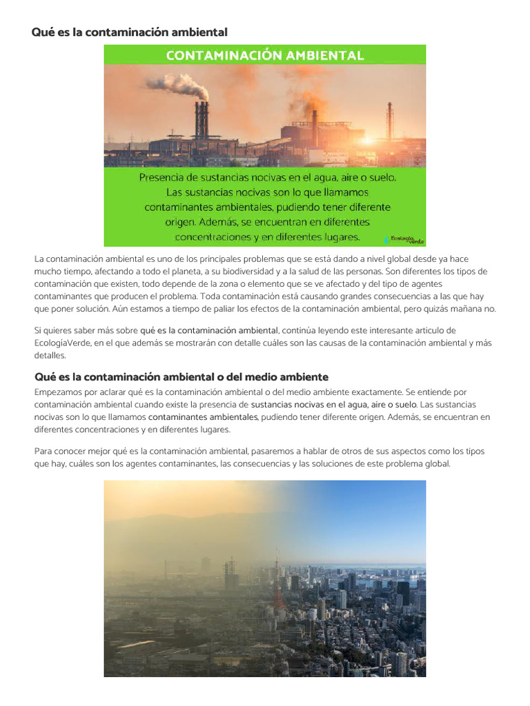 Qu Es La Contaminaci n Ambiental Ecologiaverde PDF 
