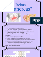 Pancreas