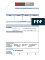 05 - Formato - Ficha Resumen de Bip