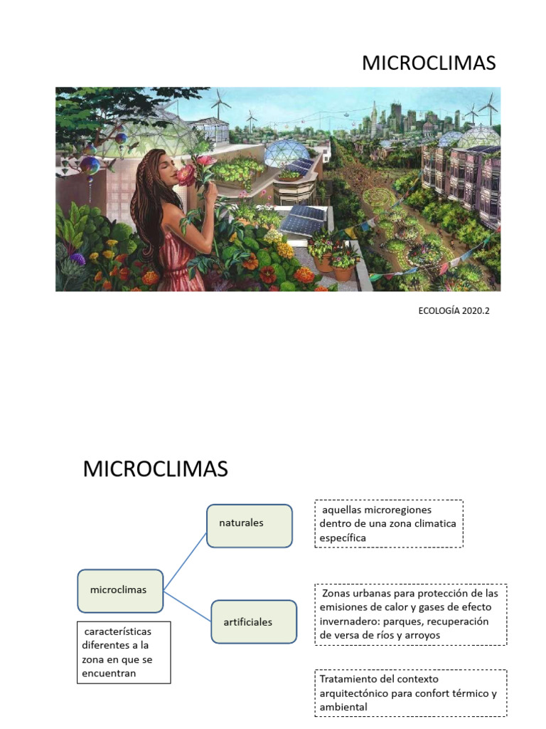 Creación de Microclimas Urbanos | PDF | Arboles | Clima