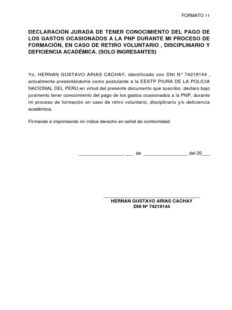 Formato 11 | PDF