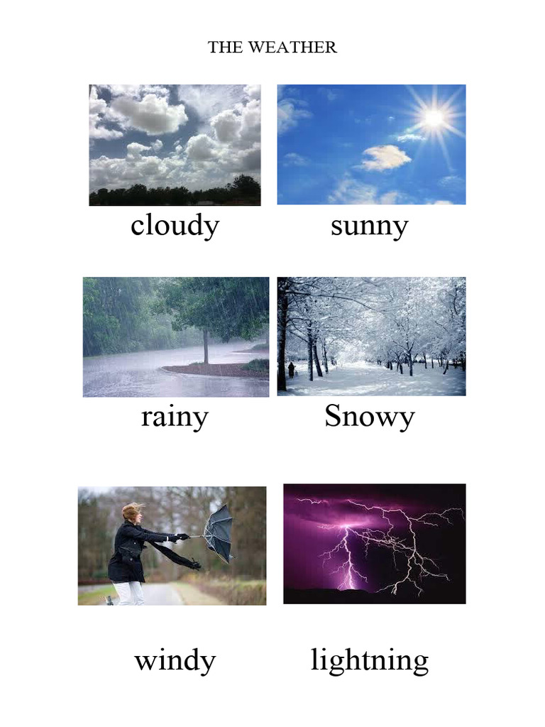 The Weather | PDF