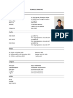 CV Exemple - FR 2