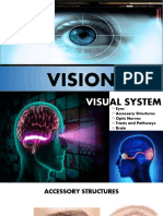 Gorup 1 Function of The Eye