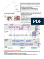 Fisiopatologia Del Aparato Endocrino