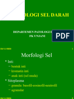 2022 - Morfologi Sel