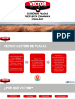 Propuesta Servicios Ecora DRT