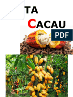 FRUTA CACAU