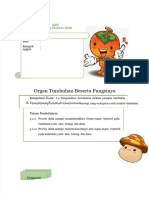 PDF LKPD Struktur Dan Fungsi Tumbuhan