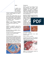 Sistema Hepatico Resumo Livro