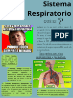 Sistema Respiratorio