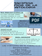 Infografía Etapas Proyecto Ciencia Ilustrado Colorido