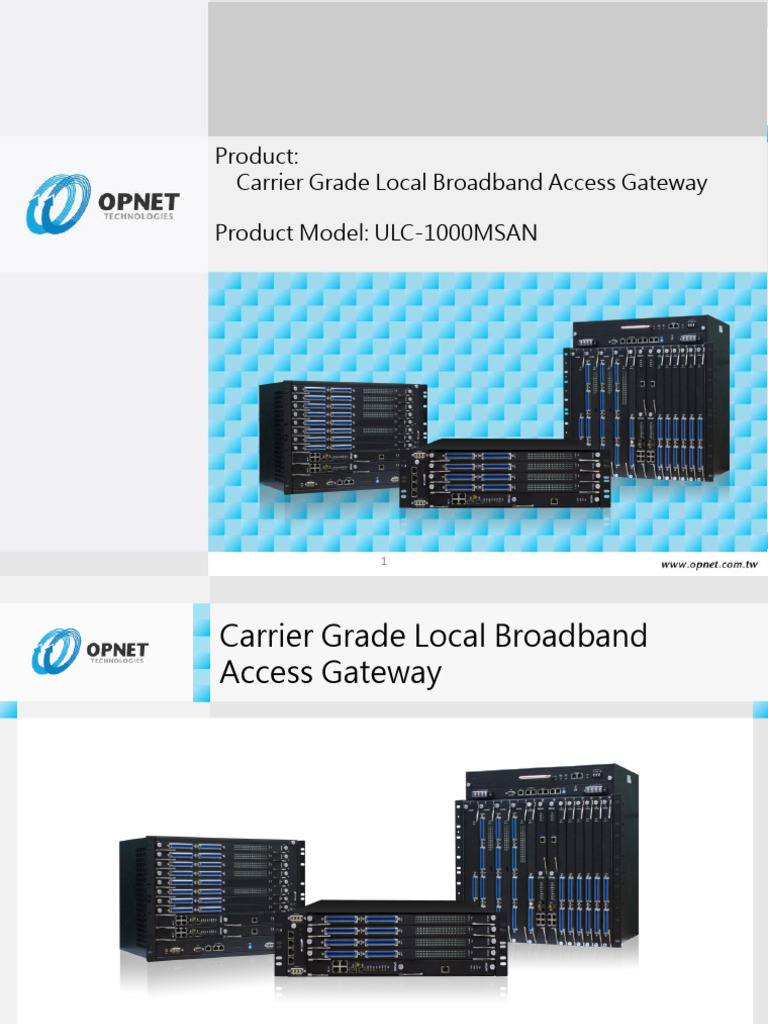 Carrier Grade Local Broadband Access Gateway and Roadmap 2021