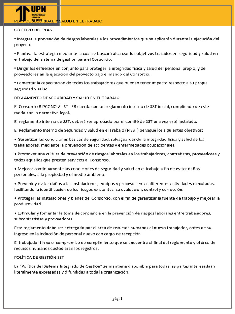 Plan de Seguridad y Salud Laboral | PDF | Seguridad y salud ocupacional ...