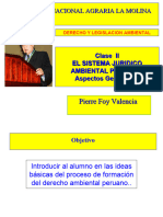 UNALM Der y Leg Amb Sistema Juridico Peruano Pierre Foy 26 2 2023