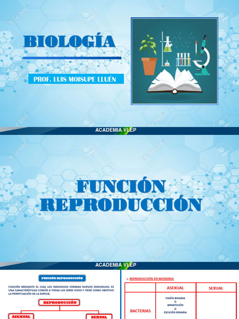 Reproducción en Seres Vivos: Moneras a Animales | PDF | Polen | Flores