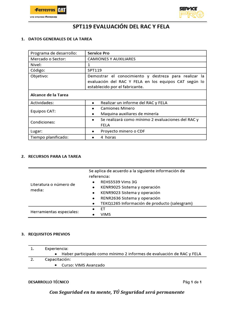 Evaluación RAC y FELA en Equipos CAT | PDF