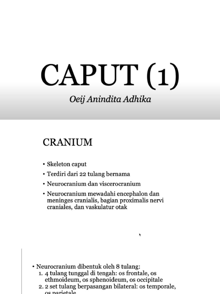 ANAT | PDF