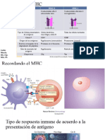 Fagocitosis Septiembre 2023