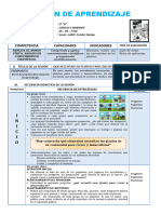 Sesion 28 - 06 Plantas