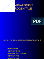 Trauma Urogenitala