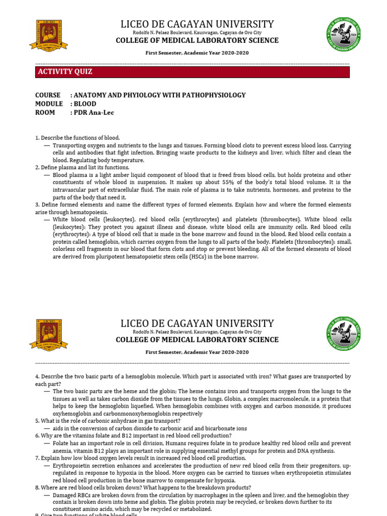 Worksheet Forms | PDF | Blood Type | Blood