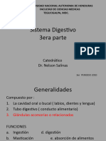 Sistema Digestivo 3era Parte