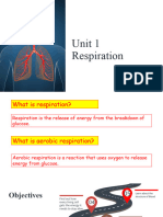 1.1 The Human Respiratory System - 1.2 Gas Exchange - 1.3 Breathing