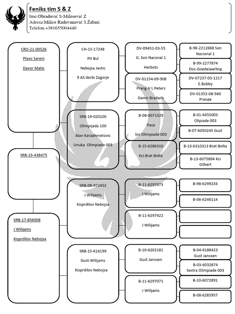 As pobednik 0607 pdf