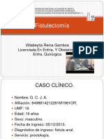 Fistulectomiaterminado 141007090919 Conversion Gate01