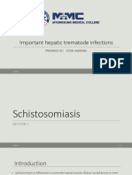 Important Hepatic Trematode Infections