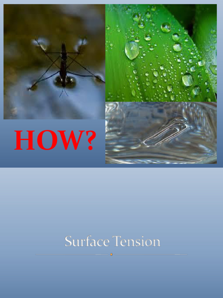 Surface Tension PDF Surface Tension Liquids