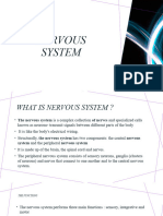 Nervous System Presentation