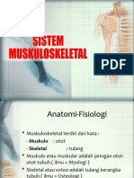 Anfis Muskuloskeletal