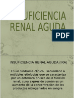 Insuficiencia Renal Aguda